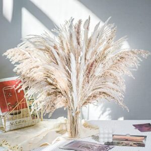 86PCS Natural Dried Pampas Grass Bouquet,Boho Home Decor Bouquet, Phragmites Dried Flowers,Bouquet for Wedding Floral Arrangements Home Decorations