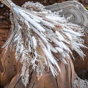 86PCS Natural Dried Pampas Grass Bouquet,Boho Home Decor Bouquet, Phragmites Dried Flowers,Bouquet for Wedding Floral Arrangements Home Decorations