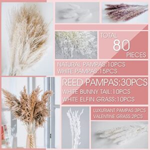 86PCS Natural Dried Pampas Grass Bouquet,Boho Home Decor Bouquet, Phragmites Dried Flowers,Bouquet for Wedding Floral Arrangements Home Decorations