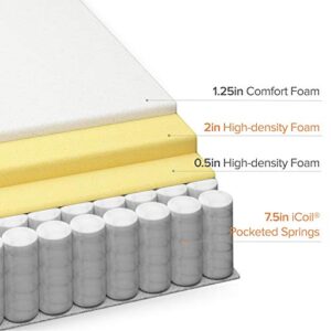 ZINUS 12 Inch Euro Top Pocket Spring Hybrid Mattress / Pressure Relief / Pocket Innersprings for Motion Isolation / Bed-in-a-Box, King