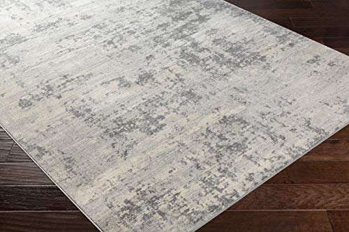 Artistic Weavers Doria Modern Abstract Area Rug,8'10" x 12'3",Silver Gray