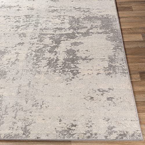 Artistic Weavers Doria Modern Abstract Area Rug,8'10" x 12'3",Silver Gray