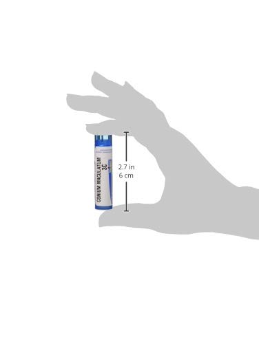 Boiron Conium Maculatum 3C for Dizziness Triggered by Moving The Head - 80 Pellets