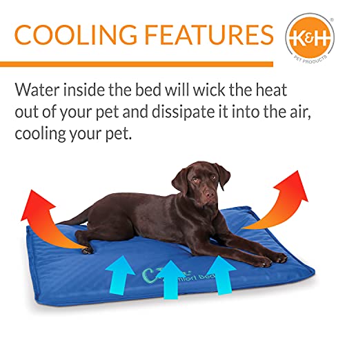 K&H Pet Products Coolin' Comfort Bed Orthopedic Dog Cooling Mat Blue Large 32 X 44 Inches