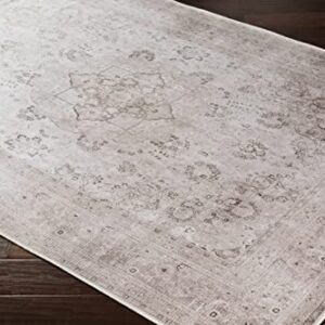 Hauteloom Bethany Traditional Medallion Living Room Bedroom Neutral Area Rug - Machine Washable - Vintage Distressed Faded - Boho Bohemian - Beige, Cream, Cream, Blush - 7'10" x 10'2"