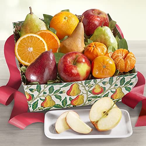 Orchard Favorites Fruit Basket Gift, 10 Piece Set