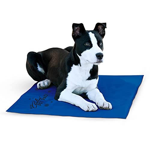 K&H Pet Products Coolin' Pet Pad Dog Cooling Mat Blue Large 20 X 36 Inches