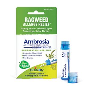 boiron ambrosia 30c homeopathic medicine for ragweed or hay fever relief and allergy symptoms of sneezing, runny nose, and itchy eyes or throat – 1 count (80 pellets)