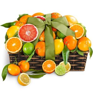 sweet sunshine citrus fruit basket gift