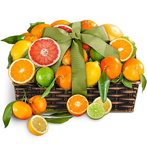 Sweet Sunshine Citrus Fruit Basket Gift