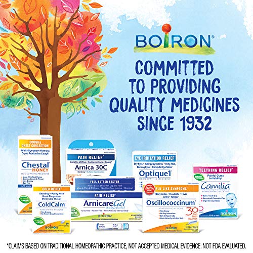 Boiron Arnicare Ointment for Soothing Relief of Joint Pain, Muscle Pain, Muscle Soreness, and Swelling from Bruises or Injury - Non-greasy and Fragrance-Free - 1 oz