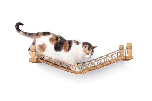 CatastrophiCreations Cat Bridge Wall-Mounted Play and Lounge Toy Cat Tree Tower Alternative for Pets, 1 Count (Pack of 1)