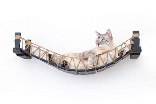 CatastrophiCreations Cat Bridge Wall-Mounted Play and Lounge Toy Cat Tree Tower Alternative for Pets, 1 Count (Pack of 1)