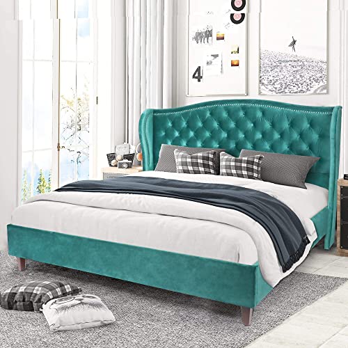 QHITTY Queen Size Bed Frame, Modern Velvet Button Tufted Upholstered Platform Bed with Nailhead Trim Headboard, Wood Slat Support, Easy Assembly, No Box Spring Needed