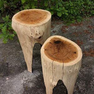 Tree Stump Table - Set Of Two, Log Stools, Reclaim Wood Coffee Tables, Rustic Furniture, Rough End Tables, Country House Decor