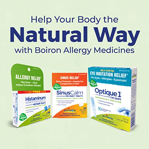 Boiron AllergyCalm On The Go for Relief from Allergy and Hay Fever Symptoms of Sneezing, Runny Nose, and Itchy Eyes or Throat - 2 Count (160 Pellets)