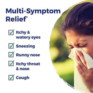 Boiron AllergyCalm On The Go for Relief from Allergy and Hay Fever Symptoms of Sneezing, Runny Nose, and Itchy Eyes or Throat - 2 Count (160 Pellets)