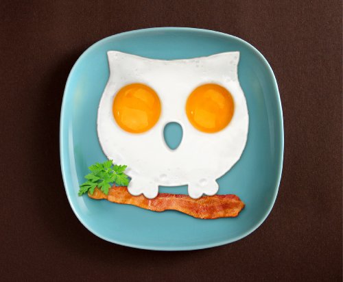 Genuine Fred FUNNY SIDE UP Silicone Egg Mold, Owl, FUNOWL