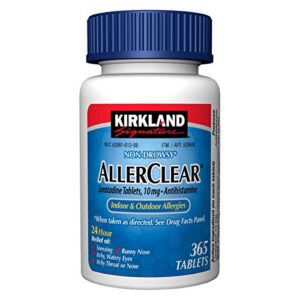 kirkland signature non drowsy allerclear – 365 tablets