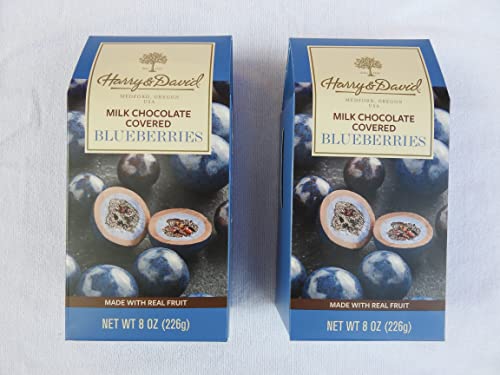 Chocolate Covered Blueberries (8 oz, 2-Pack)