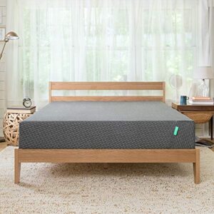 tuft & needle 2020 mint queen mattress – extra cooling adaptive foam with ceramic cooling gel and edge support – antimicrobial protection powered by heiq – certipur-us – 100 night trial