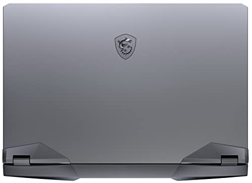 EXCaliberPC 2022 MSI Raider GE76 12UHS-255 (i7-12700H, 32GB RAM, 1TB NVMe SSD, RTX 3080Ti 16GB, 17.3" QHD 240Hz, Windows 11) Gaming Laptop