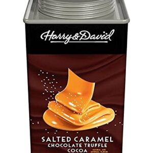 Harry & David Truffle Cocoa Mix, Salted Caramel Chocolate, 6.25 Ounce