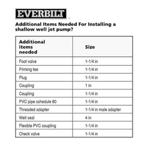 Everbilt 3/4 HP Shallow Well Jet Pump by Everbilt