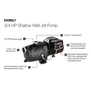 Everbilt 3/4 HP Shallow Well Jet Pump by Everbilt