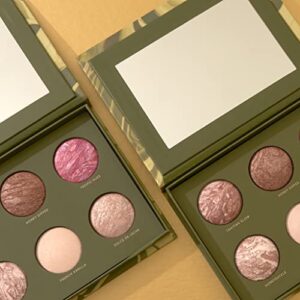 LAURA GELLER NEW YORK Full Face Cheek to Chic Tropical Glow Face Palette 2 Blushes, 2 Highlighters & 2 Bronzers, Includes 6 Full-Sized Shades