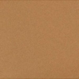 Laura Mercier Tinted Moisturizer Natural Skin Perfector SPF 30, #5W1 Tan, 1.7 oz