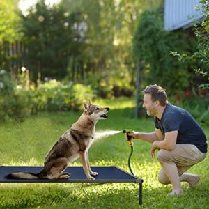 Veehoo Large Elevated Dog Bed – Chewproof Cooling Raised Dog Cots Beds, Outdoor Metal Frame Pet Training Platform with Skid-Resistant Feet, Breathable Textilene Mesh, 49 x 33 x 9 inch, Blue