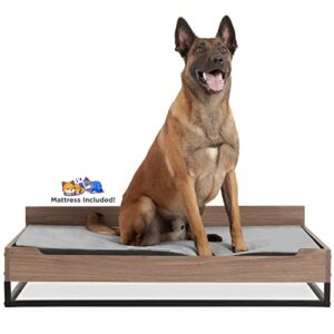 wooden dog bed and dog couch with water-resistant mattress, large to extra large elevated pet bed with calming mattress, greenguard gold certified, dog beds & furniture, milo – tailzzz