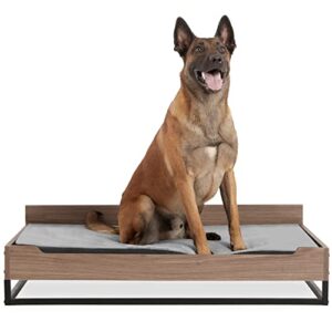 Wooden Dog Bed and Dog Couch with Water-Resistant Mattress, Large to Extra Large Elevated Pet Bed with Calming mattress, Greenguard Gold Certified, Dog Beds & Furniture, Milo - TailZzz