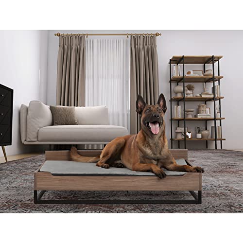 Wooden Dog Bed and Dog Couch with Water-Resistant Mattress, Large to Extra Large Elevated Pet Bed with Calming mattress, Greenguard Gold Certified, Dog Beds & Furniture, Milo - TailZzz