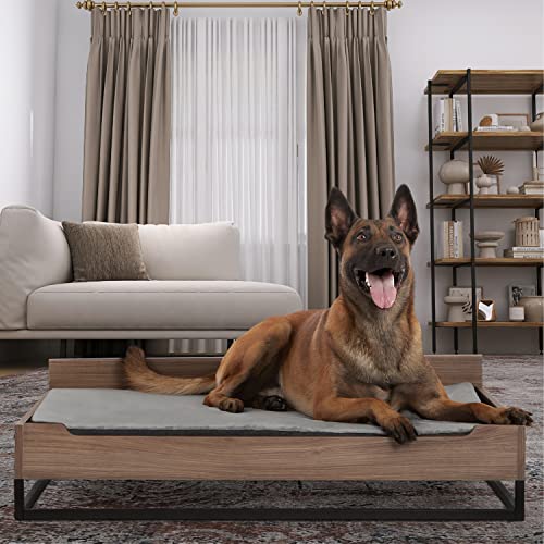 Wooden Dog Bed and Dog Couch with Water-Resistant Mattress, Large to Extra Large Elevated Pet Bed with Calming mattress, Greenguard Gold Certified, Dog Beds & Furniture, Milo - TailZzz