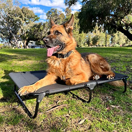 Dazy Dog Elevated Folding Pet Bed Outdoor Waterproof (Large, Black)