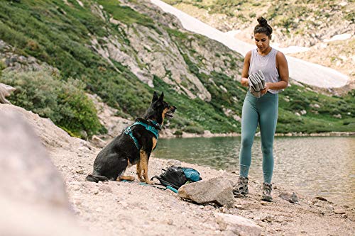 Ruffwear, Highlands Dog Pad, Portable Dog Bed for Outdoor Use, Cloudburst Gray, Medium