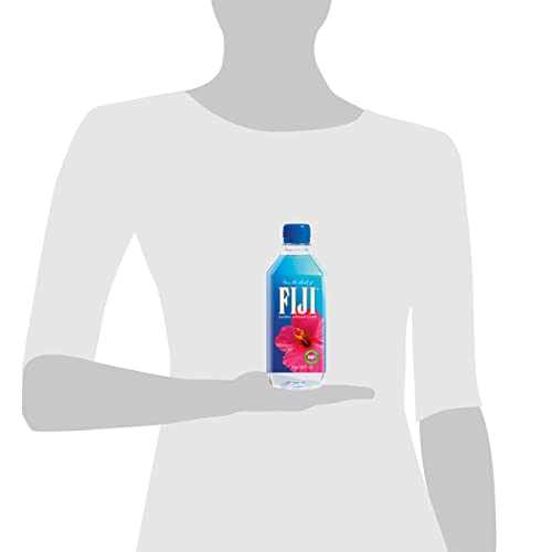 FIJI Natural Artesian Water, 16.9 Fl Oz (Pack of 24)