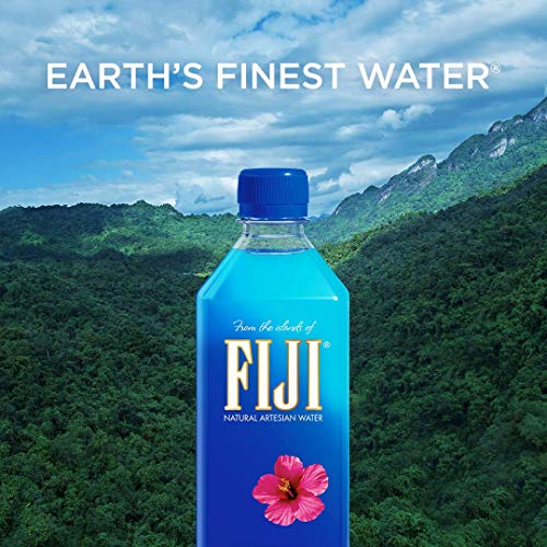 FIJI Natural Artesian Water, 16.9 Fl Oz (Pack of 24)