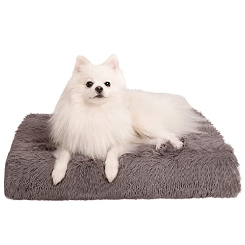 WELLYELO 4" Memory Foam Medium Dog Bed Fluffy Plush Dog Beds for Medium Dogs Orthopedic Egg Crate Foam Dog Bed Dog Crate Pad Washable Pet Bed Kennel Pad (30x20x4,Light Brown)