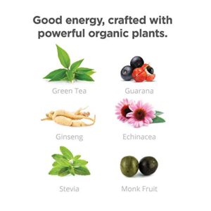 GURU Lite Organic Energy Drink | Stay Focused with Refreshingly Good Energy | Organic Ingredients | Low Calories | Uncompromisingly Good Energy | 12oz (Pack of 24)