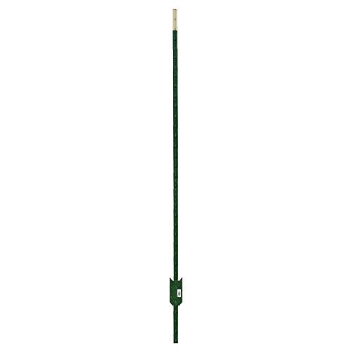 Everbilt Powder-Coated Green Steel Fence T-Post, 1.75"L x 3.5"W, Set of 12, Choose Length (5 Ft.)