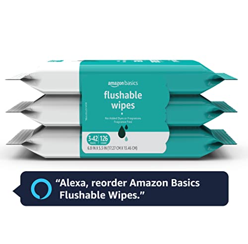 Amazon Basics Flushable Adult Toilet Wipes, Fragrance Free, 42 Count (Pack of 3), 126 Wipes total