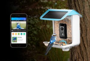 sharper image video camera bird feeder