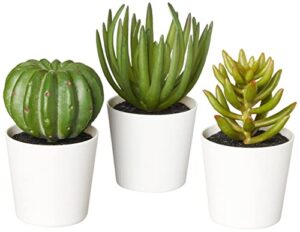 amazon basics artificial mini succulent fake indoor plants with plastic planter pots, 3 pack