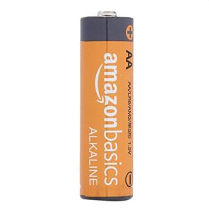 Amazon Basics 12 Pack AA Alkaline Batteries - Blister Packaging