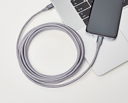 Amazon Basics 10 foot Nylon USB-C to USB-C 2.0 Fast Charging Cable, Dark Gray, Laptop