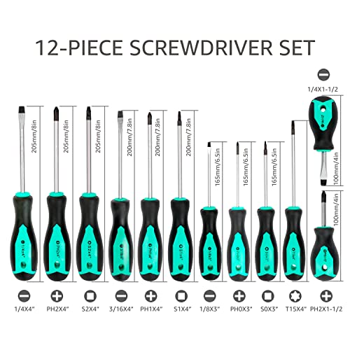 Amazon Basics 12-Piece Magnetic Screwdriver Set, Turquoise