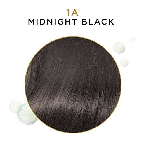 Clairol Professional Beautiful Advanced Gray Solutions 1a Midnight Black, 3 oz